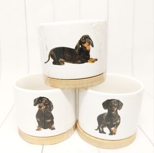 Three dachshund ceramic plant holders with wooden base